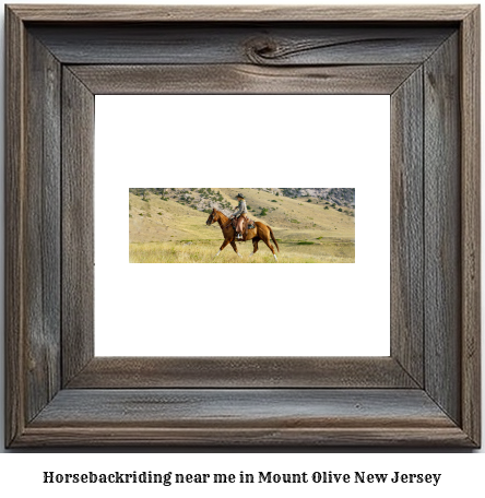 horseback riding near me in Mount Olive, New Jersey